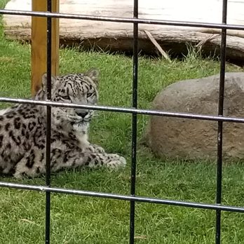 The Wild Animal Park - Relaxed, happy animals - Zoos Near Me - Chittenango, New York The Wild Animal Park - Relaxed, happy animals - Zoos Near Me - Chittenango, New York