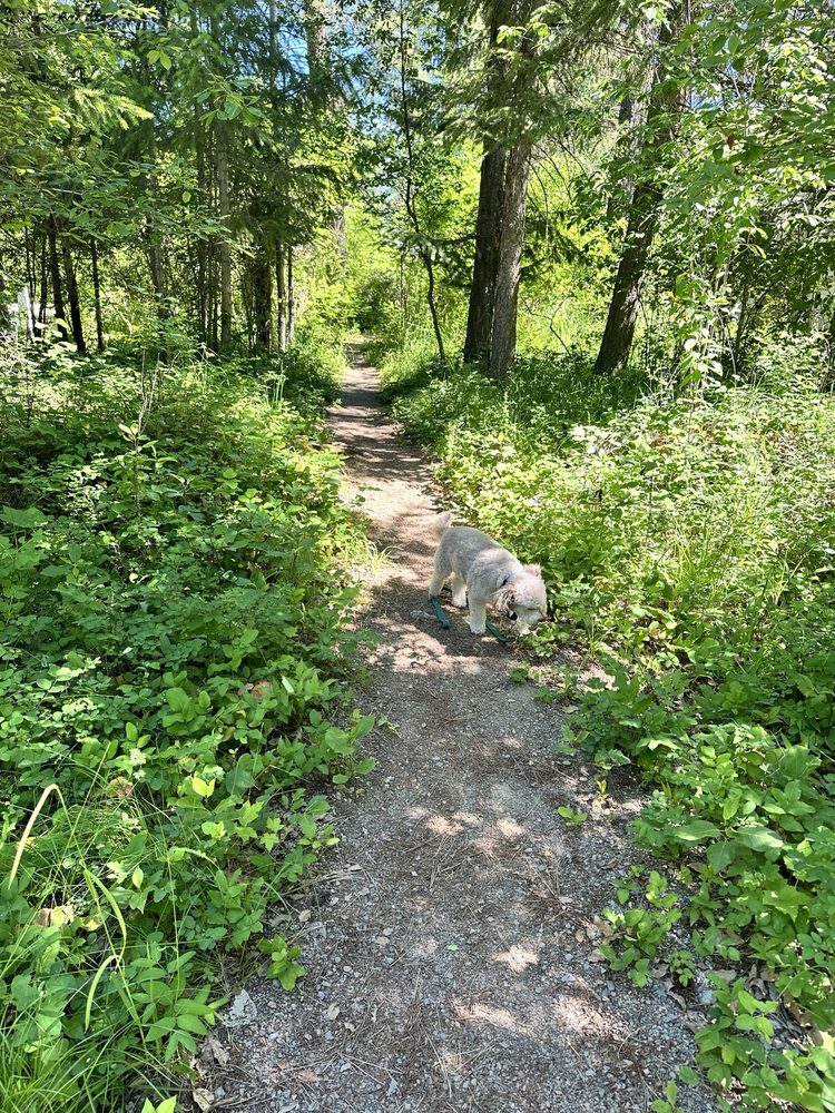 TROUT CREEK MOTEL & RV PARK Updated September 2024 2972 MT200