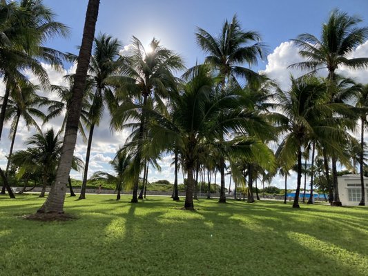 Axel Beach Miami · South Beach by null