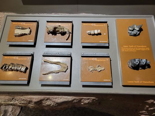 Ben Reifel Visitor Center by null