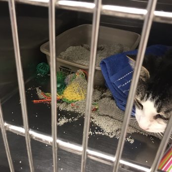 PetSmart - Pet Stores Near Me - Brandon, Florida