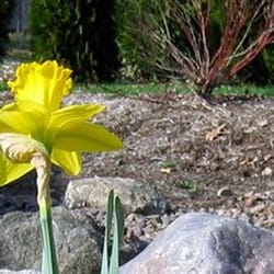 Lake Edge Lutheran Church-Elca - Rain garden to help keep our lakes clean