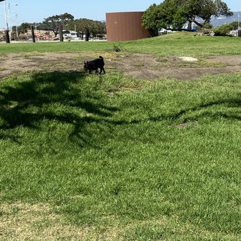 San Leandro Marina - Walk to the other side of Marina - Parks Near Me - San Leandro, California San Leandro Marina - Walk to the other side of Marina - Parks Near Me - San Leandro, California