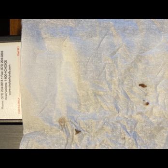 Comfort Suites Jackson-Cape Girardeau - More bugs - Hotels Near Me - Jackson, Missouri