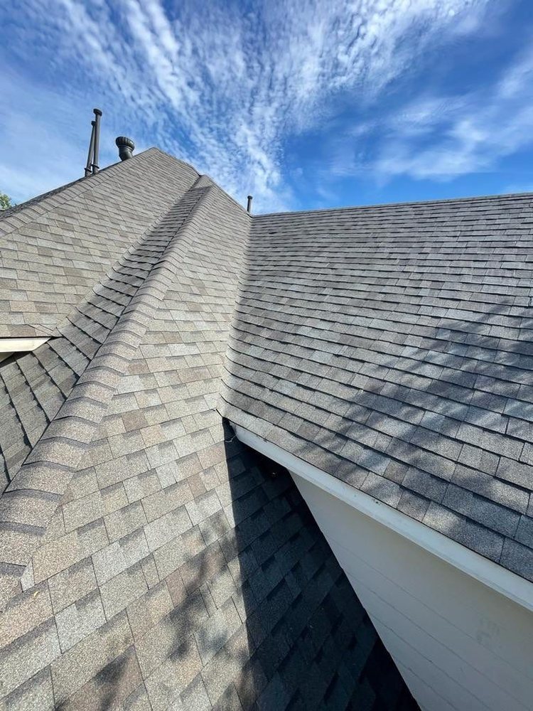 Slide of Frog Roofing