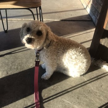 PetSmart - Pet Stores Near Me - Albuquerque, New Mexico