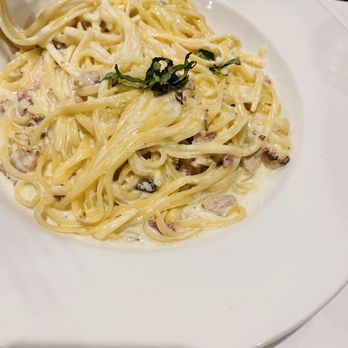 Allegria Italiana - Linguine Carbonara - Italian Near Me - Brandon, Florida Allegria Italiana - Linguine Carbonara - Italian Near Me - Brandon, Florida