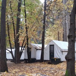 Curry Village Giftly Beautiful Gift Card Alternative