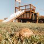 Gordos Fun Farm