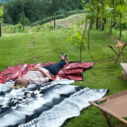 Amity Vineyards - Relaxing at Amity