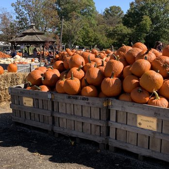 Linvilla Orchards - Farmers Market Near Me - Media, Pennsylvania Linvilla Orchards - Farmers Market Near Me - Media, Pennsylvania