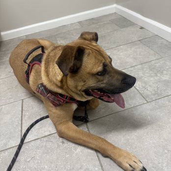New All Creatures Veterinary Hospital - Max - Veterinarians Near Me - Vallejo, California New All Creatures Veterinary Hospital - Max - Veterinarians Near Me - Vallejo, California