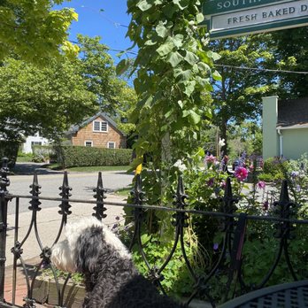 Tate's Bake Shop - Dog friendly patio seating - Bakeries Near Me - Southampton, New York Tate's Bake Shop - Dog friendly patio seating - Bakeries Near Me - Southampton, New York