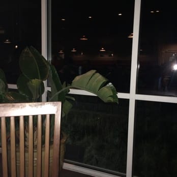 Damons Grill - Ocean view! - Seafood Near Me - Myrtle Beach, South Carolina