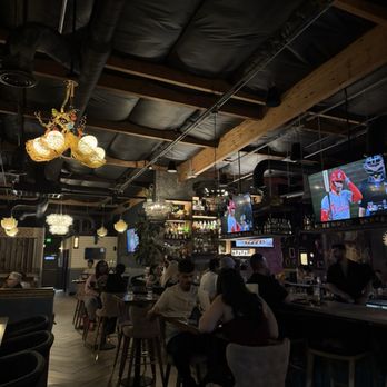 Dodo Bird Kitchen and Cocktails - Cocktail Bars Near Me - Scottsdale, Arizona