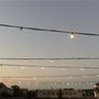 Photo of Old Capitol Inn Rooftop Bar
