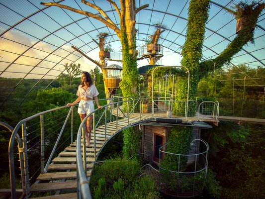 Cypress Valley by null