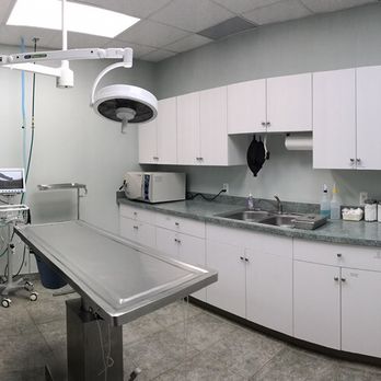 Snider Veterinary Services - State of the art surgical suite - Veterinarians Near Me - Clinton Township, Michigan Snider Veterinary Services - State of the art surgical suite - Veterinarians Near Me - Clinton Township, Michigan