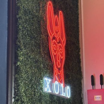 Xolo - Mexican Near Me - North Liberty, Iowa