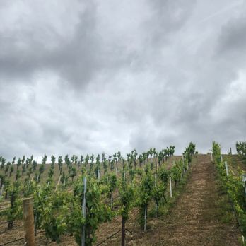 Robert Renzoni Vineyards - Wineries Near Me - Temecula, California