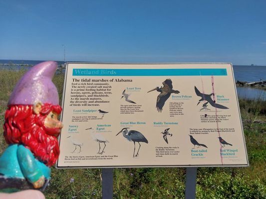 Alabama Aquarium at the Dauphin Island Sea Lab by null