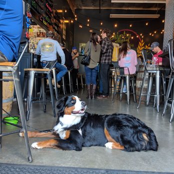 Alpha Acid Brewing - Inside with our pup. - Breweries Near Me - Belmont, California