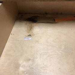 California State of Conservation Corps