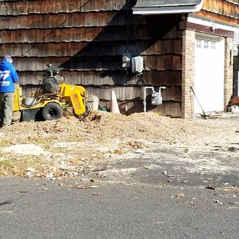 O'Brother Tree Service - Tree Services Near Me - Bergenfield, New Jersey O'Brother Tree Service - Tree Services Near Me - Bergenfield, New Jersey