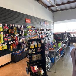Shop with many cool treats and useful items for dogs Shop with many cool treats and useful items for dogs
