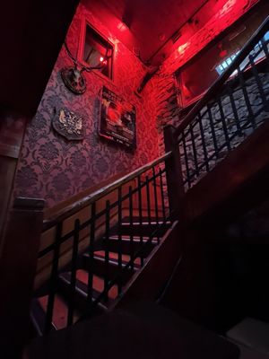 The Kings Head by null