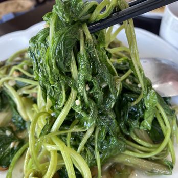 Auntie Kitchen - Love the ong choy with garlic - Cantonese Near Me - San Gabriel, California Auntie Kitchen - Love the ong choy with garlic - Cantonese Near Me - San Gabriel, California