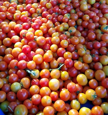 Union City Farmers' Market by null