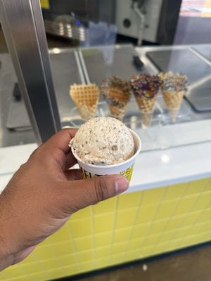 MELT Ice Creams - Main Street by null
