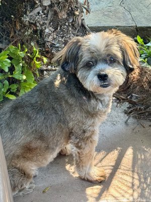 Citydog! Club by null