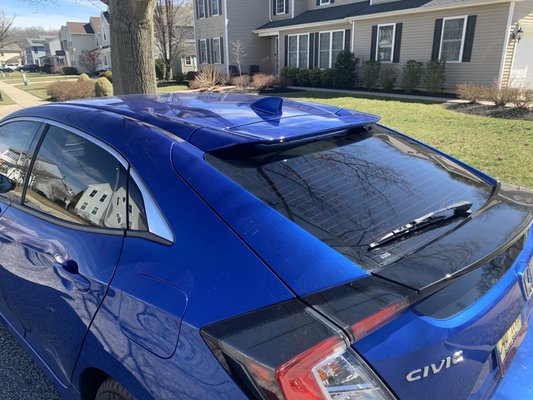 Dynamic Tint & Paint Protection