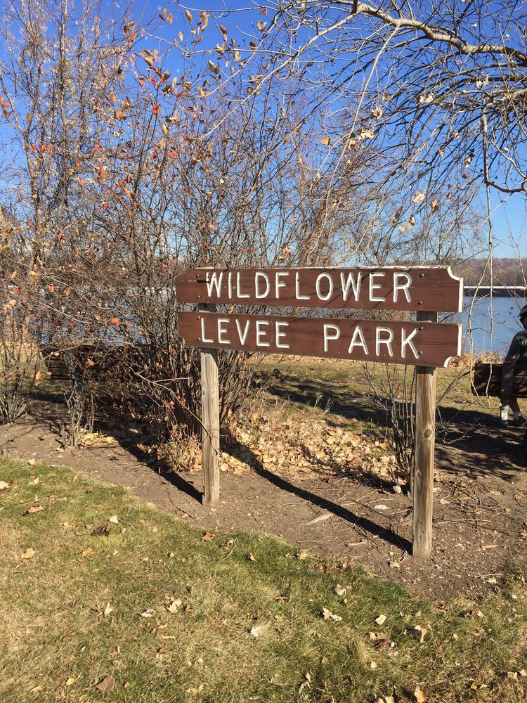 Wildflower Levee Park Logo