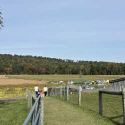 Mazezilla / Klingel Farms - Beautiful country