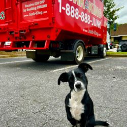 Junk King Greenville - Meet our Junk King Mascot, Jango!