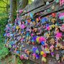 Photo of Troll Bridge
