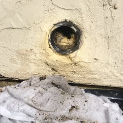 Royalty Drains and Plumbing