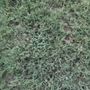 Photo of Grassperson Lawn Care & Landscape