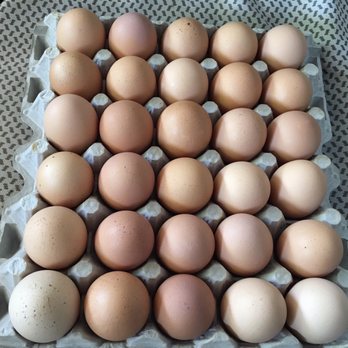 Billy's Egg Farm - 30 flat of jumbo Omega 3 eggs. - Specialty Food Near Me - Chino, California Billy's Egg Farm - 30 flat of jumbo Omega 3 eggs. - Specialty Food Near Me - Chino, California