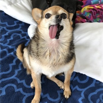 Pet Food Express - Abigail loves the staff at Pet Food Express in Benicia! - Pet Stores Near Me - Benicia, California