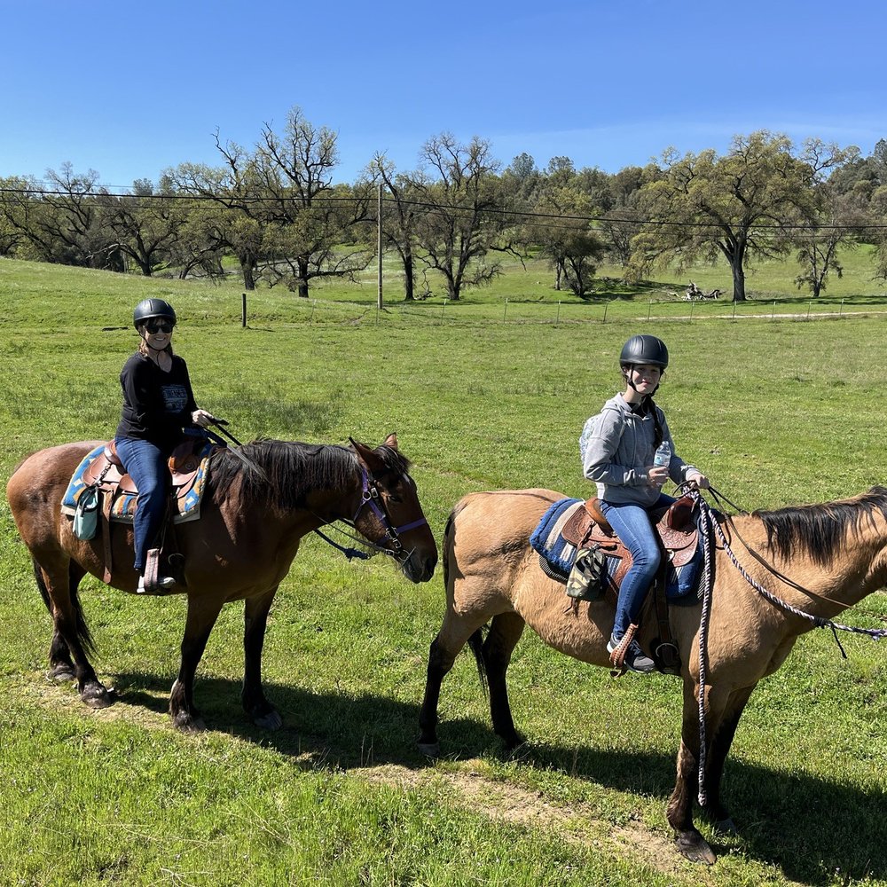 THE BEST 10 HORSEBACK RIDING in THORNTON, CA - Updated 2026 - Hours - Yelp