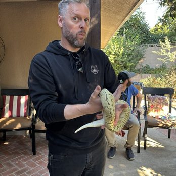 Kids Reptile Parties - Ball python - Party & Event Planning Near Me Kids Reptile Parties - Ball python - Party & Event Planning Near Me
