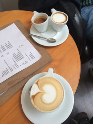 Black & Bloom by null