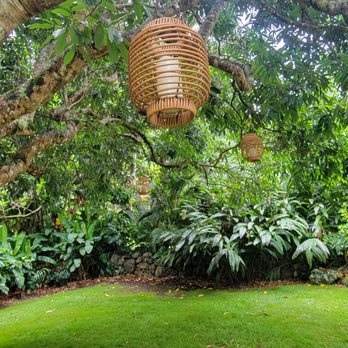 Hanai Hives - Attraction Farms Near Me - Haleiwa, Hawaii Hanai Hives - Attraction Farms Near Me - Haleiwa, Hawaii