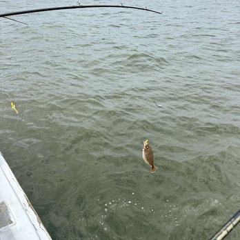 Sea Tiger II - Fluke (too small to keep) - Boat Charters Near Me - Atlantic Highlands, New Jersey Sea Tiger II - Fluke (too small to keep) - Boat Charters Near Me - Atlantic Highlands, New Jersey