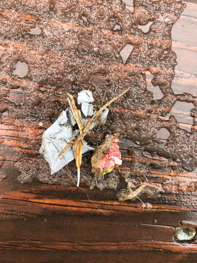 THE BARKING SPOT Updated September 2024 30 Photos & 38 Reviews