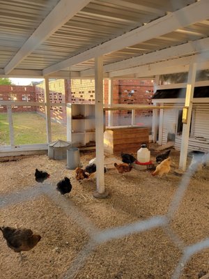 Heritage Farmstead Museum by null
